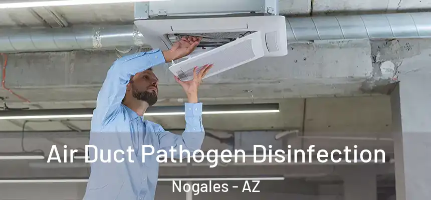 Air Duct Pathogen Disinfection Nogales - AZ