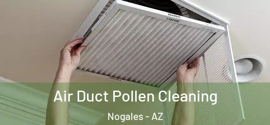 Air Duct Pollen Cleaning Nogales - AZ