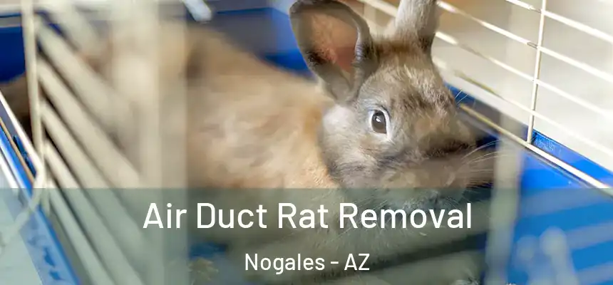  Air Duct Rat Removal Nogales - AZ
