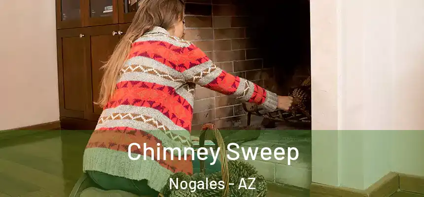 Chimney Sweep Nogales - AZ