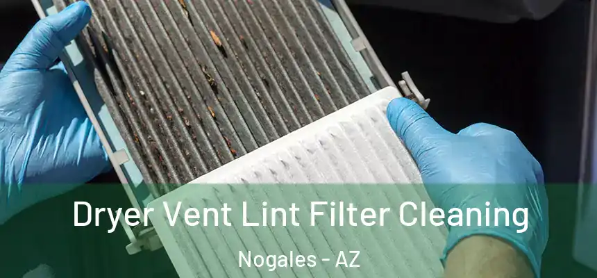 Dryer Vent Lint Filter Cleaning Nogales - AZ