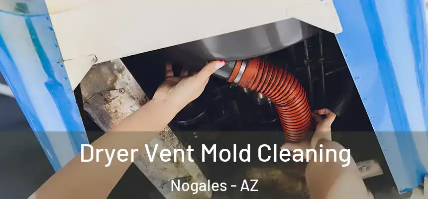 Dryer Vent Mold Cleaning Nogales - AZ
