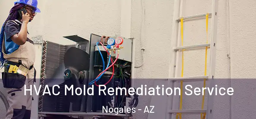 HVAC Mold Remediation Service Nogales - AZ