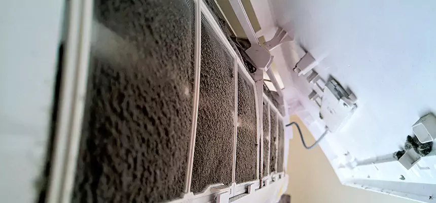 Preventive Air Duct Bacteria Removal in Nogales