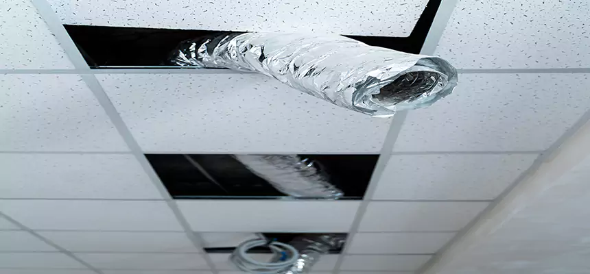 Affordable HVAC Sanitizing After Pest Removal in Nogales