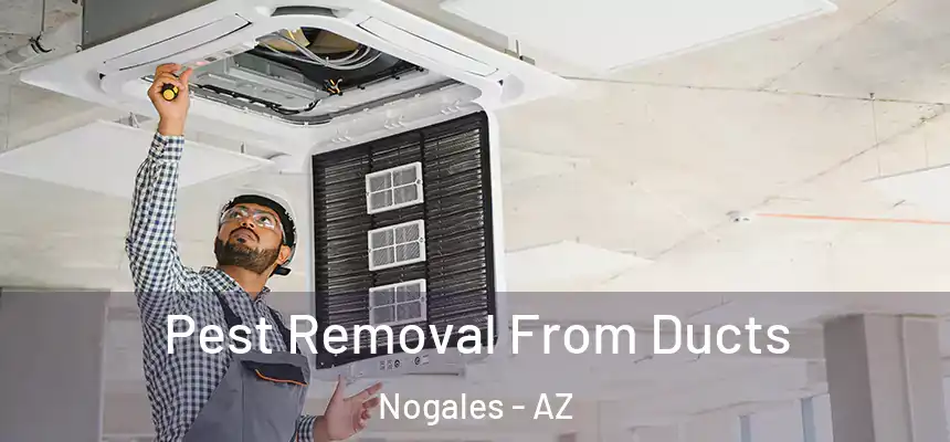  Pest Removal From Ducts Nogales - AZ