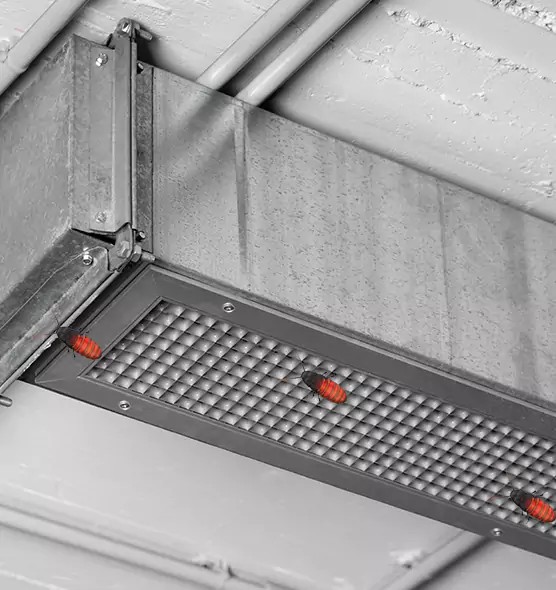 About Air Duct Cockroach Removal in Nogales, AZ