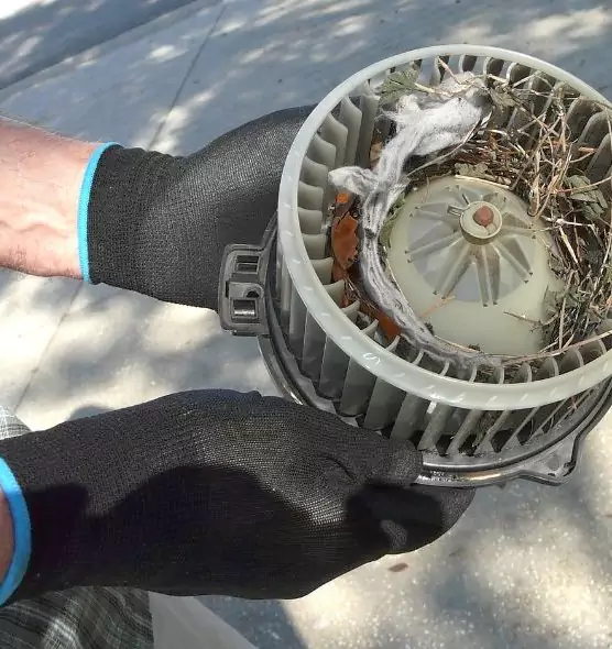 About Air Duct Mice Removal in Nogales, AZ