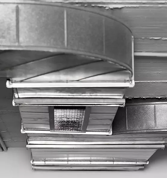 Professional Air Duct Pest Removal in Nogales, AZ