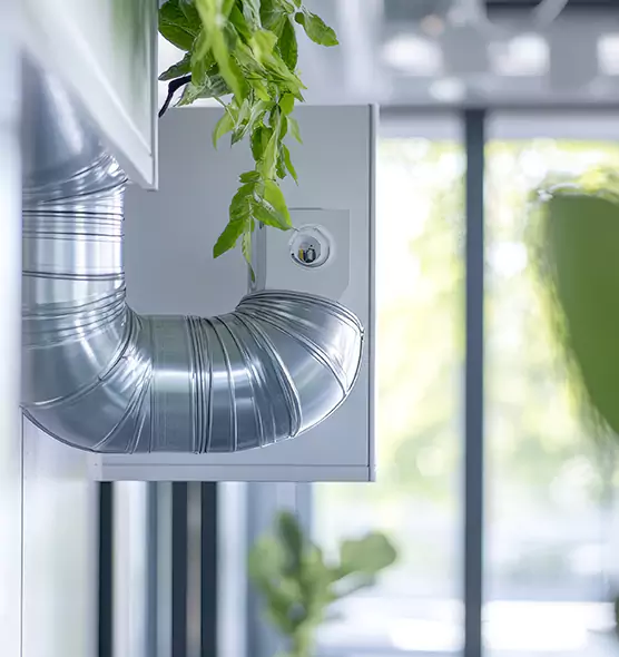 Professional Eco-Friendly Duct Cleaning Services in Nogales, AZ