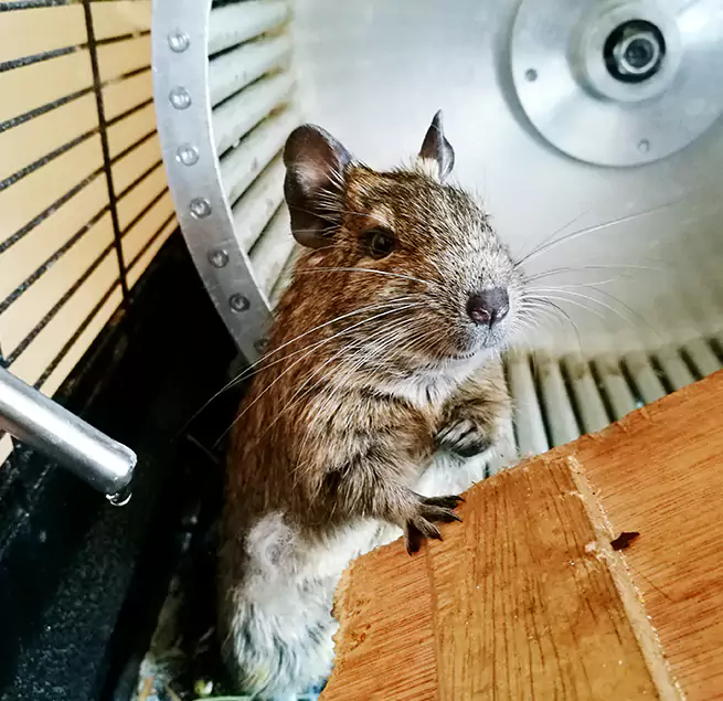 Why Homeowners & Businesses Trust Us Nogales, AZ