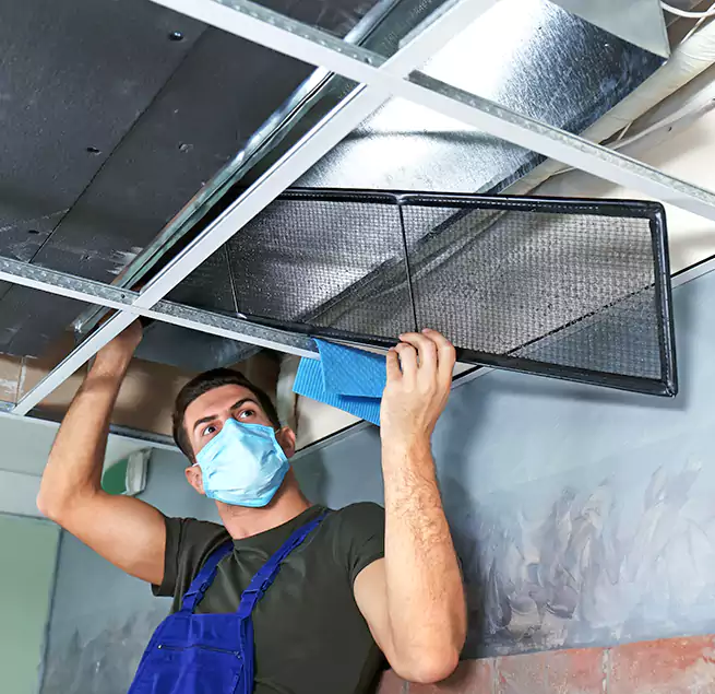 Why Homeowners Businesses Trust Us in Nogales, AZ